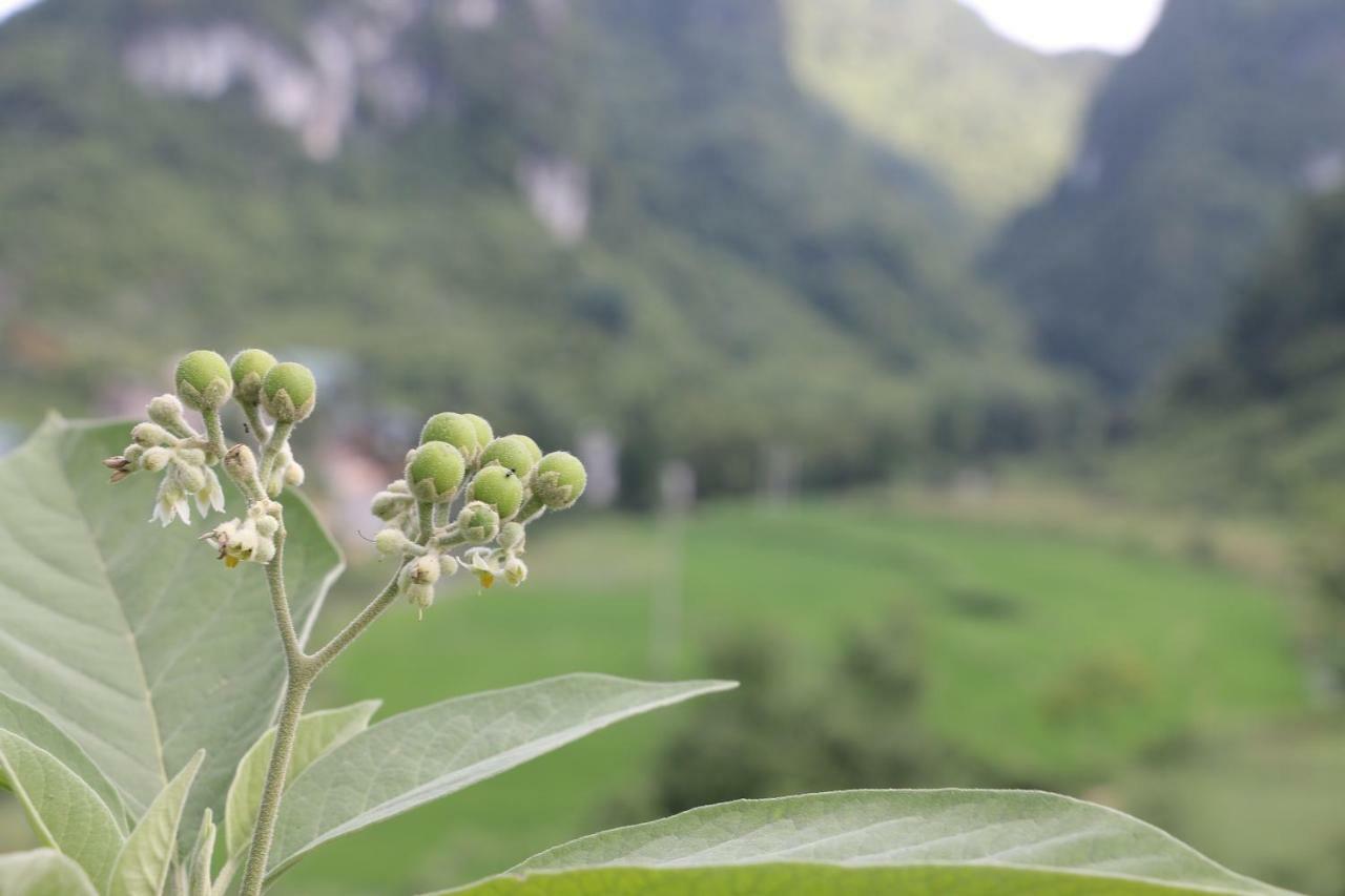 Khuoi Ky Eco Homestay Cao Bang Εξωτερικό φωτογραφία
